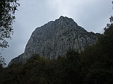 IMG_6242
