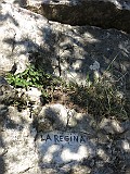 IMG_9701