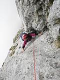 IMG_7246