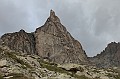 Dibona0023