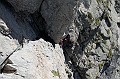 Dibona0050