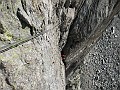 IMG_2351
