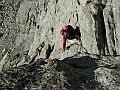 IMG_2356