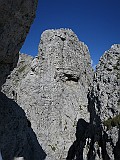 IMG_1980