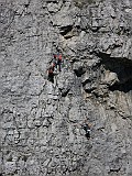 IMG_1981
