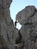 IMG_1984