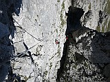 IMG_1992