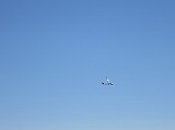 IMG_1998