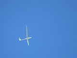 IMG_2003