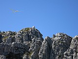 IMG_2007_Small