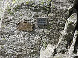 IMG_8758
