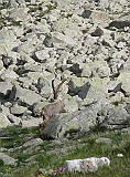 IMG_8817