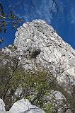 IMG_0590