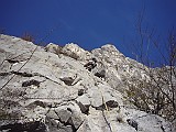 P1030951
