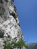 IMG_4781