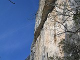 IMG_0008