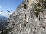 IMG_0009