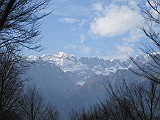 IMG_0031