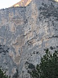 IMG_0033