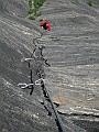 2009_06_Agaro_08
