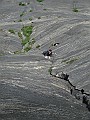2009_06_Agaro_16