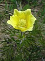 2009_06_Agaro_27