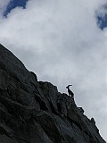 IMG_5431