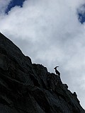 IMG_5431_small