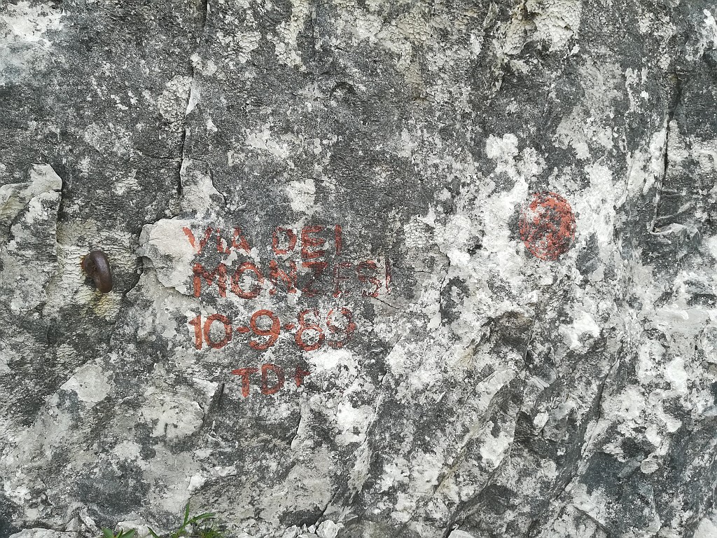 IMG_20170709_092925.jpg