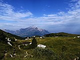IMG_20170709_090743