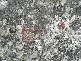 IMG_20170709_092925