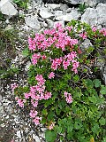 IMG_20170709_140236