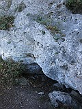 IMG_6507