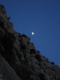 IMG_6534