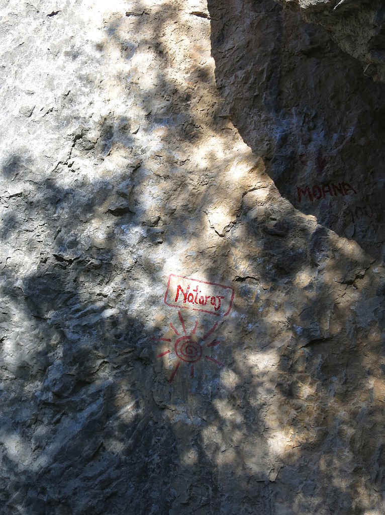 IMG_0461.JPG - L'attacco è lo stesso per Nataraj e Moana