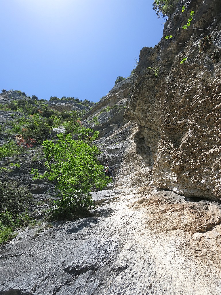 IMG_0479.JPG