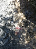 IMG_0461