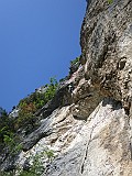 IMG_0466