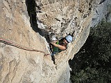 IMG_0471