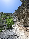 IMG_0479