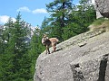 IMG_2515