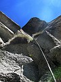 IMG_2517
