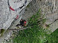 IMG_2529