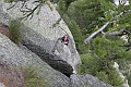_MG_0715