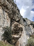 IMG_4598