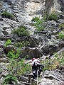 IMG_0976
