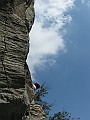 IMG_0981