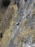 IMG_0235