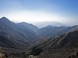 IMG_0241