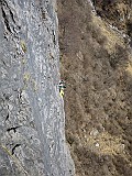 IMG_0248